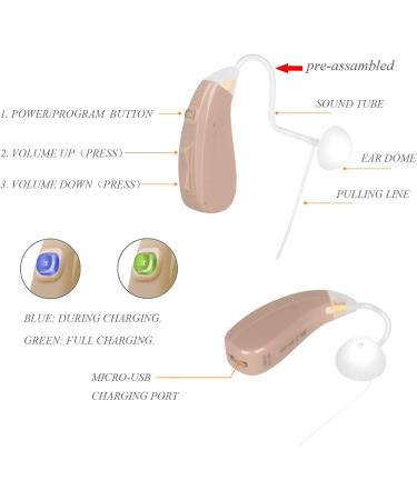 Banglijian Ziv-201A Rechargeable Digital Hearing Aid - Small Size Pair with Noise Cancelling Technology - Buy Online on GoSupps.com