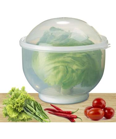 WalterDrake Lettuce KeeperTM - 7" X 8" Brown - Buy Online on GoSupps.com