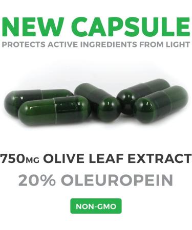 Super Strength Olive Leaf Extract 750mg - 60 Vegetarian Capsules - Non-GMO, 20% Oleuropein for Immune Support & Cardiovascular Health - Antioxidant Supplement - No Oil - Buy Online on GoSupps.com
