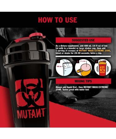 Mutant Mass Extreme Gainer - Whey Protein Powder for Muscle Growth | High Density Clean Calories (Jacked Berry Blast 12 lbs) - Buy Internationally - Buy Online on GoSupps.com