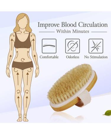 Natural Bristle Dry Brush for Skin Massage and Exfoliation | Lymphatic Drainage and Cellulite Removal | Body Scrubber for Back, Underarms, Legs, and Feet - Buy Online on GoSupps.com