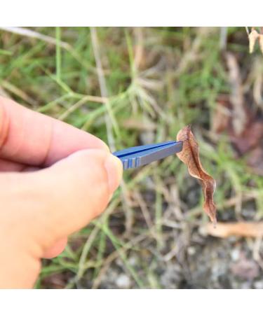 Portable Tweezer Mini Titanium Alloy Tweezer EDC Stainless Steel Tweezers Outdoor Tool for Travel Camping Home Mountaineering for Hobby Electronics Model Making or Travel Hiking(Blue). - Buy Online on GoSupps.com