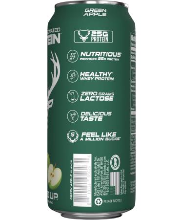 Bucked Up Lightly Carbonated Protein Soda | 25g Whey Isolate - Zero Sugar Low Calorie Caffeine Free Clean Drink | Sparkling Protein Soda - 12 Pack 16 oz Cans (Green Apple) Green Apple 12 Pack - Buy Online on GoSupps.com