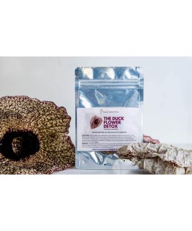 Buy Jamaican Duck Flower - Dr. Sebi Approved Wildcrafted for Holistic Wellness | Yaga Lifestyle - Buy Online on GoSupps.com