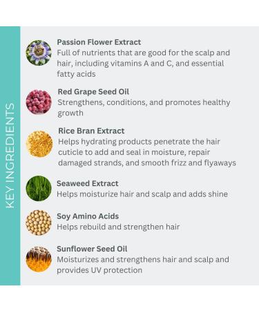 EVOLVh Natural Healthy Hair Trio - Vegan Non-Toxic Clean Hair Care | 20% Off | 8.5 fl oz (250 mL) - Shop Internationally - Buy Online on GoSupps.com