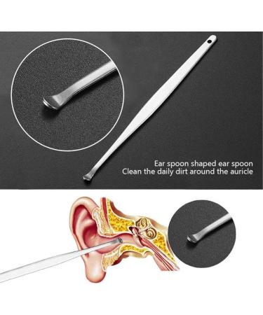 Portable Ear Cleaner Stainless Steel Ear Spoon Set Stainless Steel Ear Wax Remover Reusable Stainless Steel Ear Wax Remover Set Ear Wax Easily Removed Ideal for Personal and Home Use(NO.2) - Buy Online on GoSupps.com