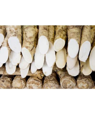 Organic Horseradish Root 8 oz | Fresh and Flavorful for Planting, Seasoning, and Sauces - Buy Online on GoSupps.com