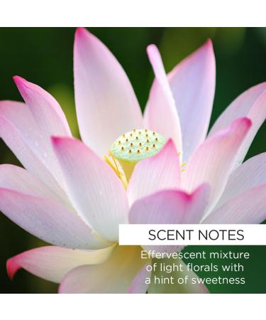 Whish Mineral Milk Bath - Luxurious Soothing Bath Soak for Glowing Skin | Shop Internationally - Buy Online on GoSupps.com