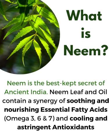Neem Bark Capsules 400 mg Organic Fresh Ground Neem Bark Powder Grown in America 120 Count & Made in USA Vegan - Buy Online on GoSupps.com