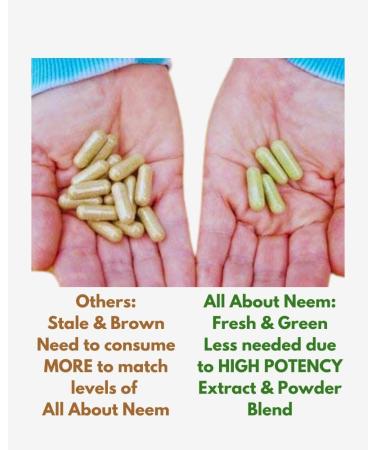 All About Neem Moringa Leaf Capsules Organic American Grown 400 mg 120 Ct Energy & Metabolism Booster Made in America - Buy Online on GoSupps.com