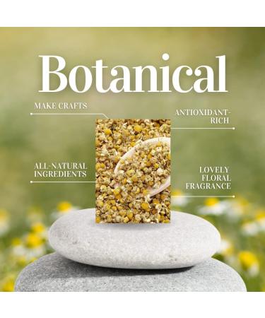 bMAKER Dried Chamomile Flowers (4oz) - Kosher Certified for Herbal Tea, Soap, Lotion & Essential Oil - Relaxation and Aromatherapy - Buy Online on GoSupps.com
