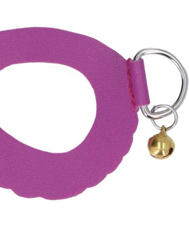 Shop Asixxsix Purple Dishwear & Leash Set for Hamsters Guinea Pigs & Ferrets - 3 Sizes Synthetic Leather Crockery & Nylon Line - Buy Online on GoSupps.com