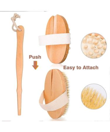 Premium Dry Brushing Body Brush Set - Exfoliating Scrubber with Long Handle | Natural Boar Bristles | Face Cleansing Brush | Lymphatic Drainage | Gift for Glowing Skin - Buy Online on GoSupps.com