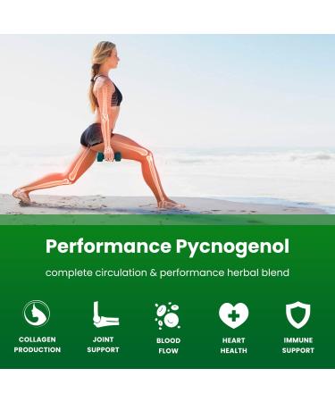 Complete Muscle & Circulatory Support: Creatine Gummies & Pycnogenol Duo - Buy Online on GoSupps.com