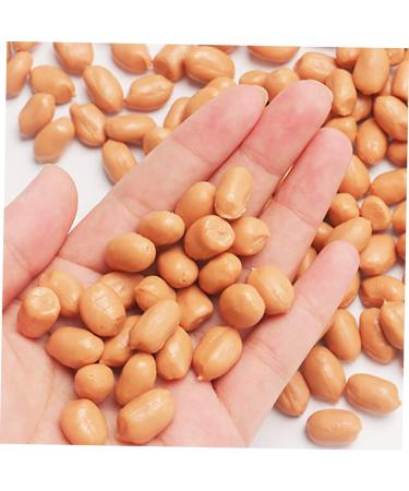 Ciieeo 1 Decorative Nut Model Simulation Fake Fruit Faux Groundnut Kernels Food Decor Simulation Nut Prop Fake Groundnut Kernels Toys Japanese Grill Yakitori Peanut Soy Pvc - Buy Online on GoSupps.com