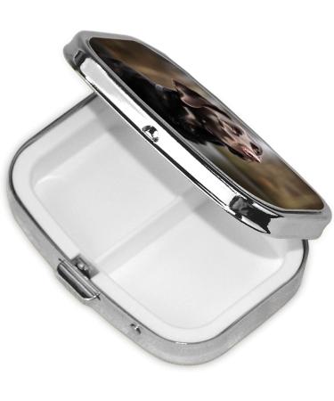 Labrador Retriever Pill Case - Cute 2 Compartment Travel Organizer for Purses | Small Pill Box Gifts - Buy Online on GoSupps.com