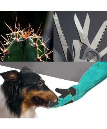 Animals Handling Gloves Anti-Bite/Scratch Thickened Protection Gauntlet for Cat Dog Ferret Wild Bird Pet Handling - Buy Online on GoSupps.com