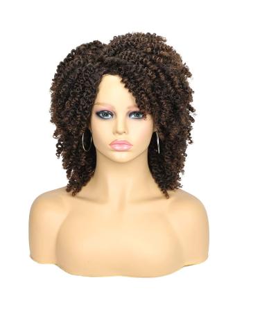 Hanne Fashion Short Kinky Curly Ombre Brown Wig | Side Part Afro Curly Synthetic Wig for Black Women | Heat Resistant Fiber | 1B/30 - Buy Online on GoSupps.com