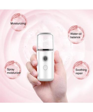Decqerbe Mist Sprayer Mini 30Ml Nano Portable Face Body Steamer Moisturizing Skin Care Humidifier Instruments(Pink) - Buy Online on GoSupps.com