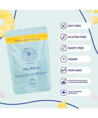 100% Vegan Sleep Support Drink Mix NIYAMA Hey Relax|Magnesium Bisglycinate Powder | Calms Muscles Promotes Better Sleep | Stress Relief | Paleo Keto Friendly | Fresh Pineapple (48 servings) - Buy Online on GoSupps.com