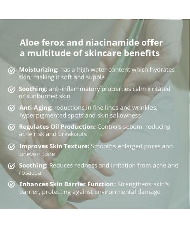 JDBotanics Complexion Gel with Niacinamide Rooibos and Aloe Ferox - Buy Online on GoSupps.com