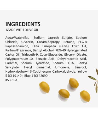 Fruits and Passion Cucina Coriander and Olive Tree 8.4 oz Mini Size Purifying Hand Wash Hand Soap Refill Coriander 8.4 Ounce (Pack of 1) - Buy Online on GoSupps.com