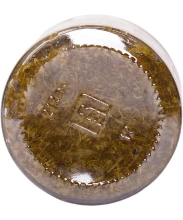 Wild fennel pesto from Etna with extra virgin olive oil - Vase of ml. 212 - artisanal production Conserve Conti - Buy Online on GoSupps.com