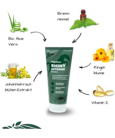 PegaNatur Shiny Intense - Gently cleans even stubborn dirt. - Buy Online on GoSupps.com