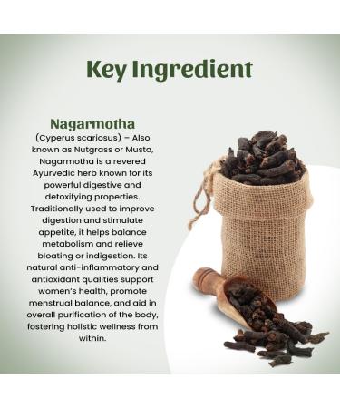 Nagarmotha | Cyperus scariosus Powder - 300 GM - Buy Online on GoSupps.com