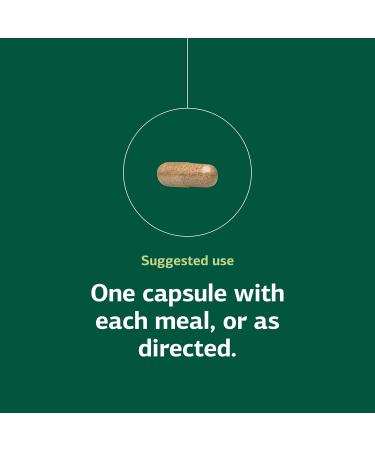 Standard Process Multizyme - Pancreatic Enzyme Supplement to Support The Breakdown of Proteins Carbohydrates & Fats - Digestive Support - Gluten-Free Non-Dairy & Non-Soy - 90 Capsules (90 Servings) 150 Count (Pack of 1) - Buy Online on GoSupps.com