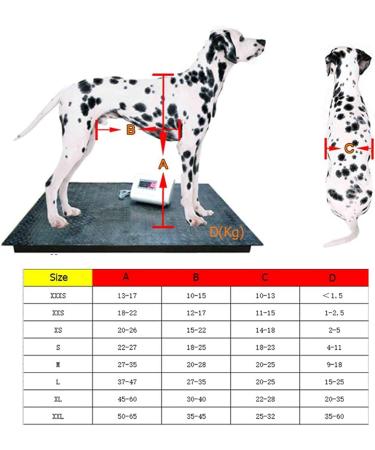 2 Wheels Dog Cart Pet Wheelchair for Hind Legs Rehabilitation Adjustable Dog Wheelchair for Handicapped Aluminum Pet Exercise Wheels - Easy Assemble Medium - Buy Online on GoSupps.com