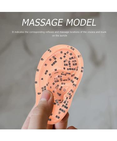 Buy LJBOZ Acupuncture Ear Model - 17cm Acupoint Massage Reflection Zones Hard PVC Education Tool for Medical Training Ships Internationally - Buy Online on GoSupps.com