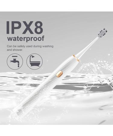 Sonic Electric Toothbrush for Adults - 8 Brush Heads 4 Modes Smart Timer IPX8 Fast Charge - Perfect Christmas Gift (White - Buy Online on GoSupps.com
