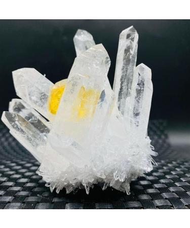 Natural Clear Ghost Phantom Quartz Crystal Cluster Rock Stones and Crystals Reiki Specimen Home Decor Suitable for Home HOMEZHOU (Color : 300-350g) - Buy Online on GoSupps.com