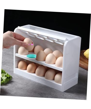 GRIRIW Egg Storage Box Camping Refrigerator Egg Container for Refrigerator Egg Rack Automatic Packing Box - Buy Online on GoSupps.com