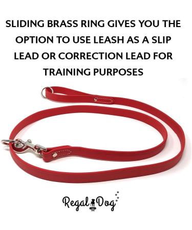 Regal Dog Halison Biothane Waterproof Collar & Leash Set - Perfect for Small to Large Dogs - Striking Red Color - Buy Online on GoSupps.com