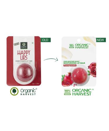  Moisturizing Pomegranate Lip Balm | Organic Lip Care for Dry & Chapped Lips | Paraben & Sulphate Free - 8 gm  - Buy Online on GoSupps.com