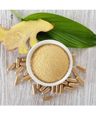 Buy 200 Organic Ginger Capsules 600mg - High-Dose Vegan Certified Organic EU Eco-Standard - Made in Germany (144g) - Buy Online on GoSupps.com