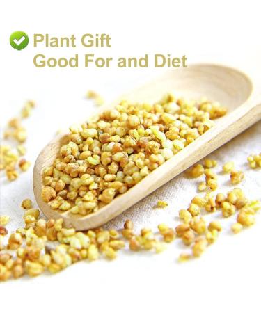 Flower 2 (150G-Yellow Buckwheat Tea) - Buy Online on GoSupps.com