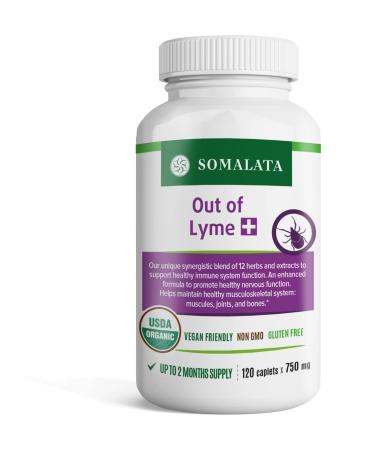 Somalata Plus Formula - Immune System Support - Herbal Supplement - Out of L