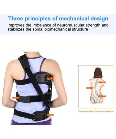 Buy Cenap Back Correction Holder - Adjustable Thoracolumbar Spinal Support for Scoliosis Relief - Buy Online on GoSupps.com