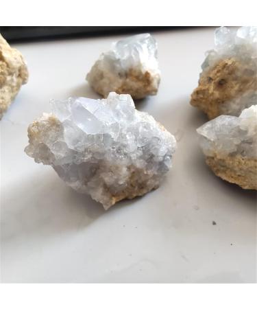 100g Real Natural Celestite Geode Quartz Cluster Diffuser Oils Crystal Specimen Cluster Specimen for Decoration ZJGIDTEM (Color : 90-100g Size : 3-5cm) 3-5cm 90-100g - Buy Online on GoSupps.com