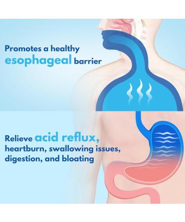 Euphea Esophageal Repair Drops for Acid Reflux Supports Esophagus Protect Heartburn Relief Digestion & Throat Support Sodium Alginate for Acid Reflux Taste Well 60 ml - Buy Online on GoSupps.com