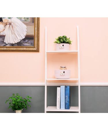 LixinJu Small Woven Cat Basket Set of 2 - Pink Mini Storage Bins for Desk, Toys, Gifts - Buy Online on GoSupps.com