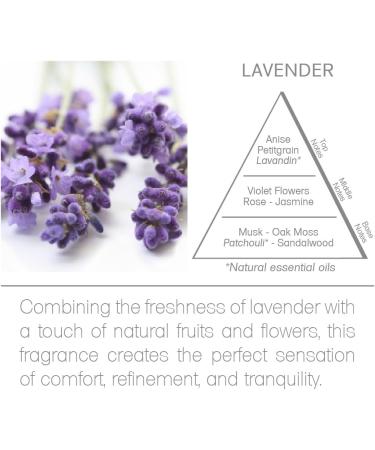 Acqua Aroma Lavender Fabric Refresher 6.8 FL OZ - Fresh Linen Spray for Home & Travel - International Shipping Available - Buy Online on GoSupps.com