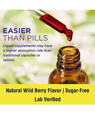 Nature's Life B-12 Drops Wild Berry 5000 mcg - 2 fl oz (60 ml) | Boost Energy & Metabolism - Buy Online on GoSupps.com