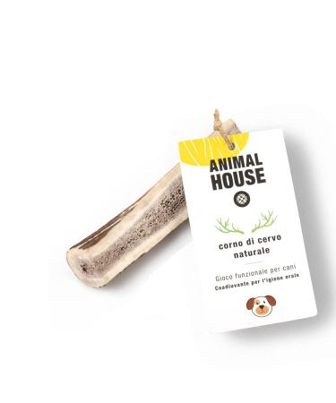 Animal House - shared deer antler for dogs - 100% natural causnack - mouth hygiene - resistant and durable - available in all sizes (XS) XS 1 piece (1 Pack)