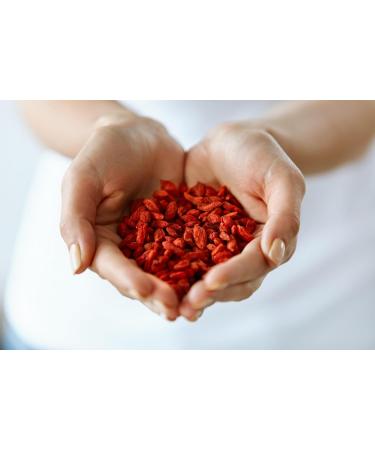 Jeske Sports Supplies Tasty Pott Berberitzen dried red berries dried fruit snack dry fruit rich in vitamins for fruit salads and muesli in bag 1000 g - Buy Online on GoSupps.com