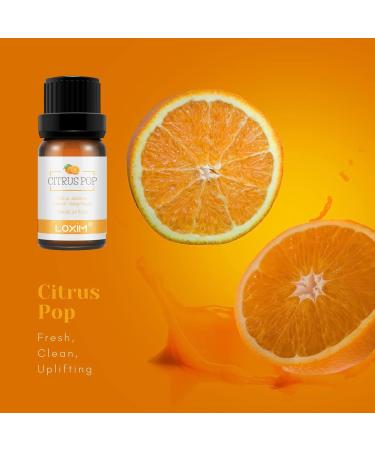 LOXIM Discovery Collection Essential Oil Set - 3 Fragrance Oils for Aromatherapy | 100% Pure Natural Scents - Santal Sparkle Rose Sugar Citrus Pop - Buy Online on GoSupps.com