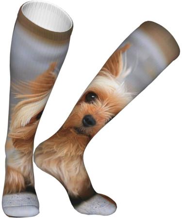 Yorkshire Terrier Photo Compression Socks for Men & Women | 15-20 mmHg Circulation Support for Running & Cycling - Buy Online on GoSupps.com